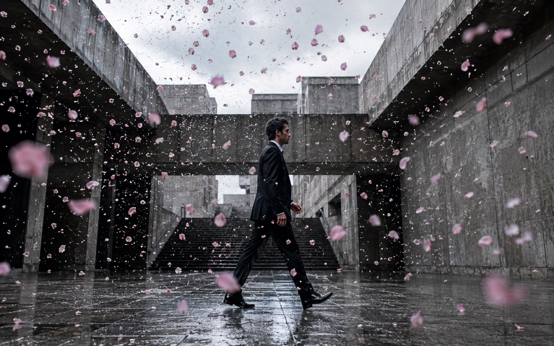 An adult performer crossing a brutalist plaza through frozen pink petals